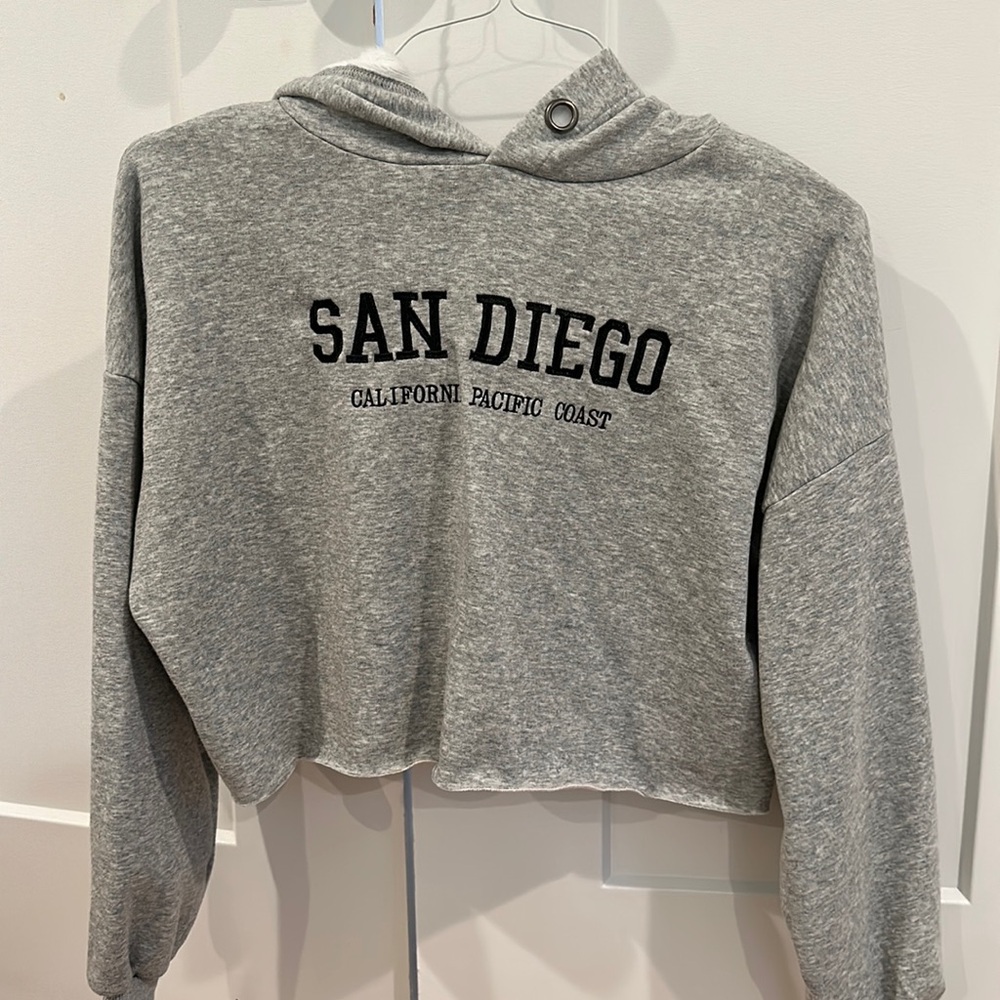 Princess Polly San Diego Cropped Hoodie